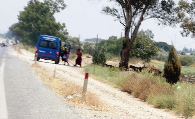 Yol kenarında fuhuş!