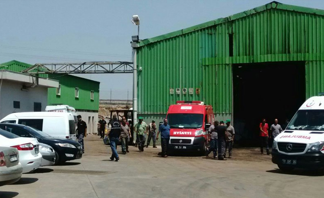 Adana'da işçi cinayeti: Vinç halatı koptu 2 ölü