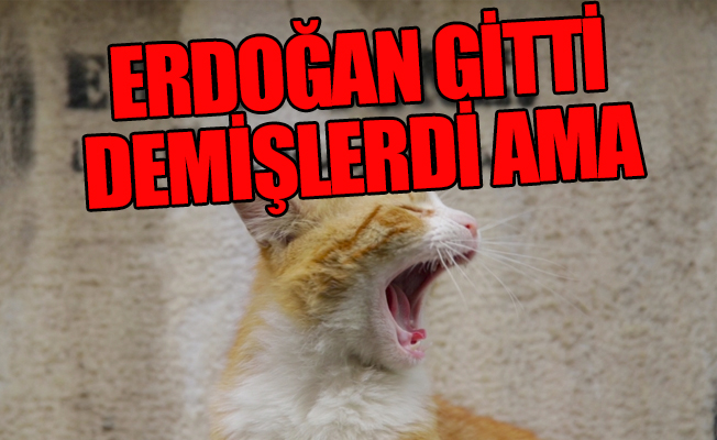 O müdür 2 ay sonra görevden alındı