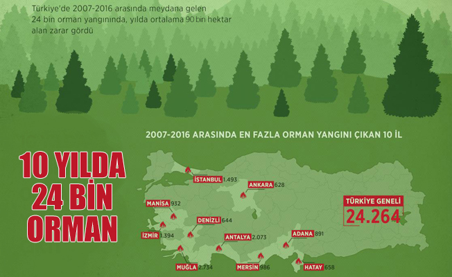 On yılda 24 bin orman yandı!