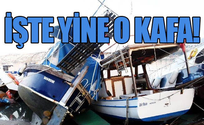 Gericiler depreme sevindi: Laik köpekler, Allah’ın adaleti!