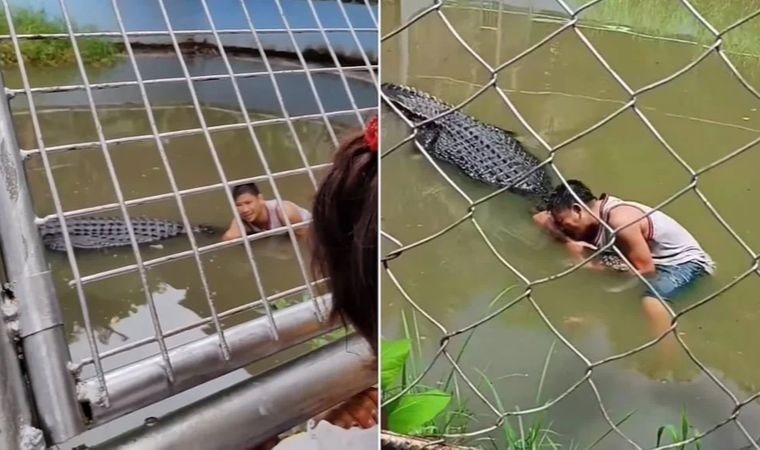 Heykel sandığı timsah kolunu, bacağını parçaladı!