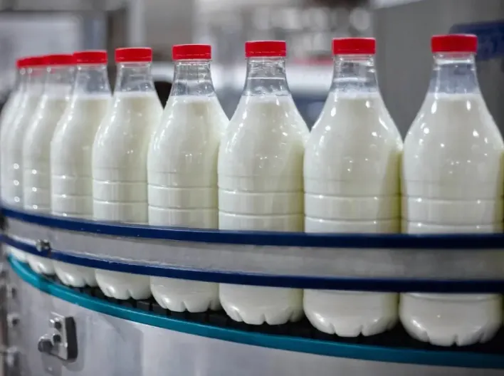 Rekabet Kurumu’ndan ünlü süt firmalarına soruşturma