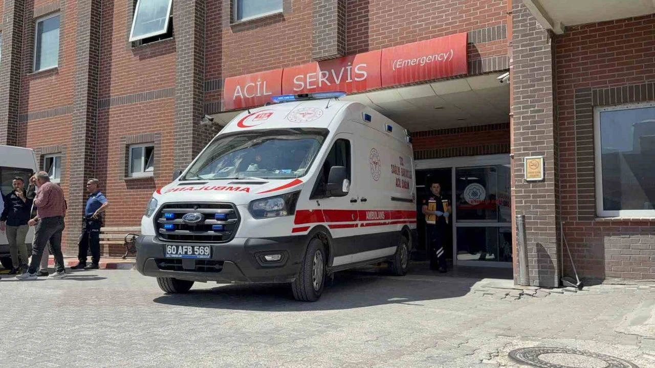 1 buçuk yaşındaki bebek kene ısırması yüzünden öldü!