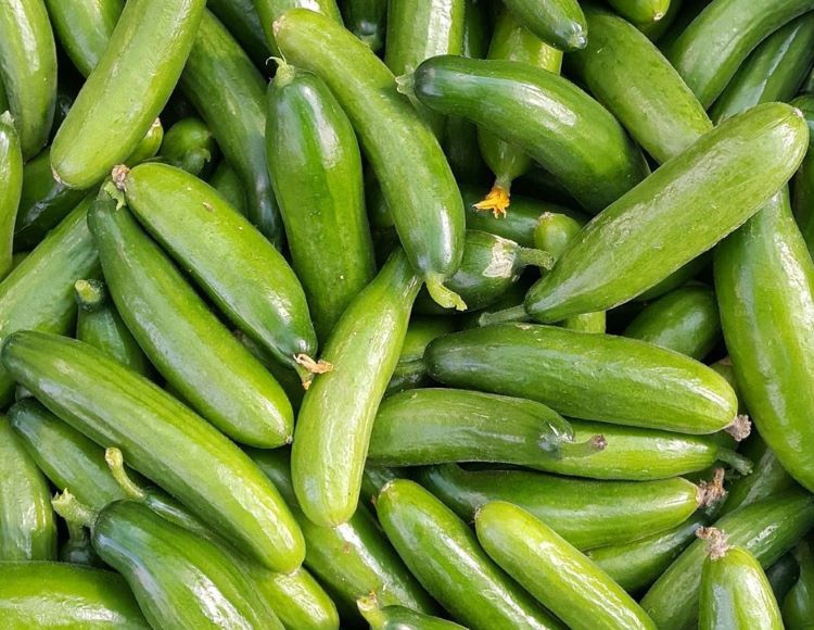 Marketlerde satılan salatalık acilen geri çağırıldı