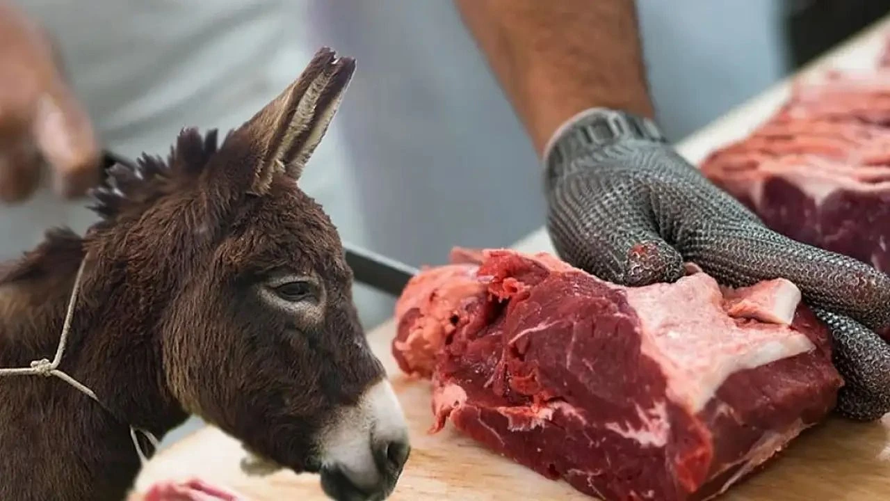 İki ilde vatandaşa at ve eşek eti yedirmişler