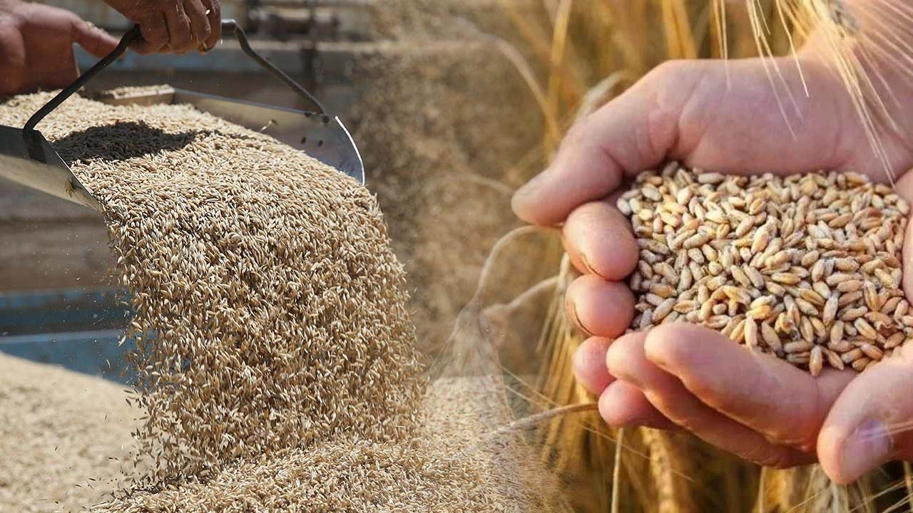 TMO buğday ve arpa fiyatlarını açıkladı