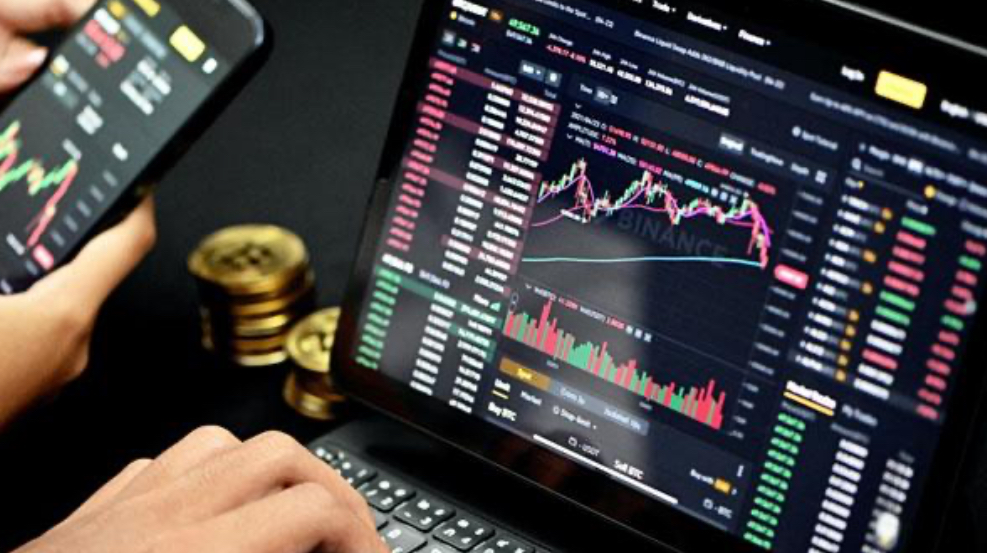 Amatörler İçin P&L (Kâr ve Zarar) Ansiklopedisi