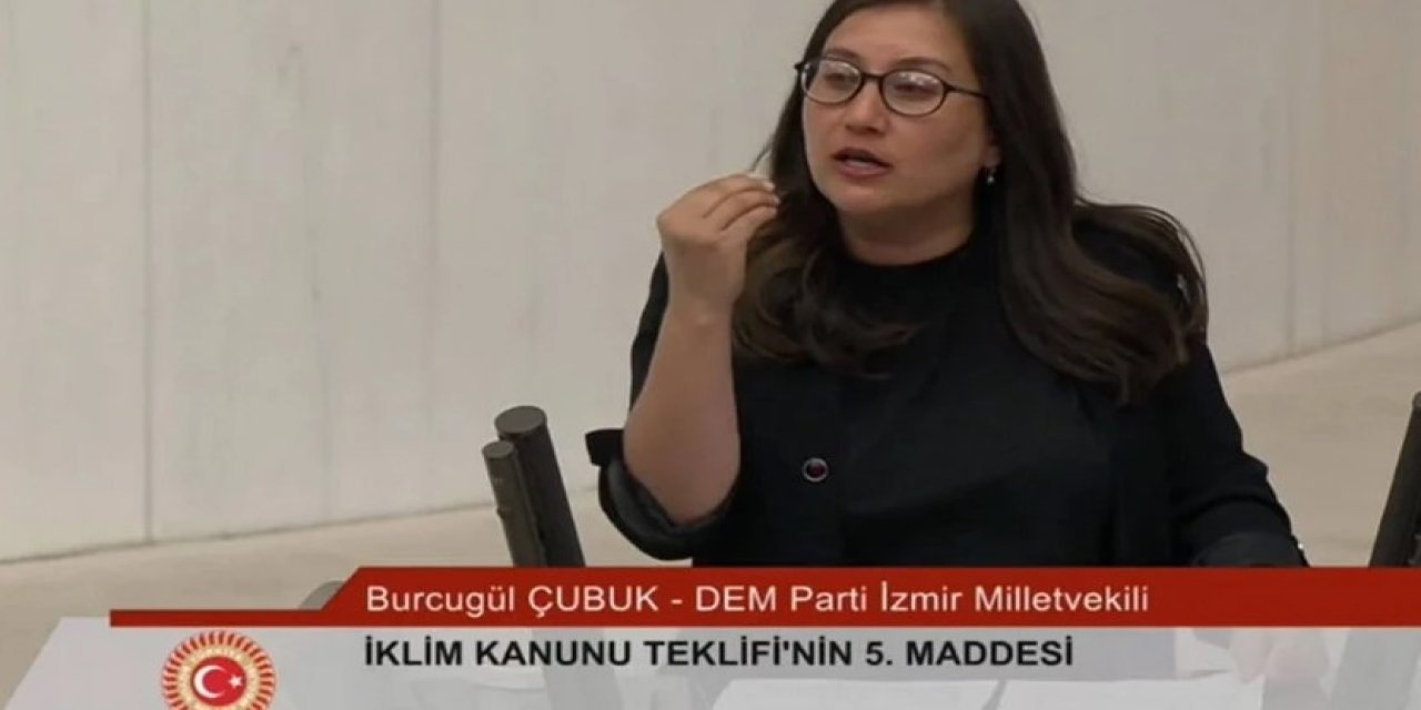 DEM Partili vekil kürtçe bela okudu, Meclis'te ortalık karıştı!