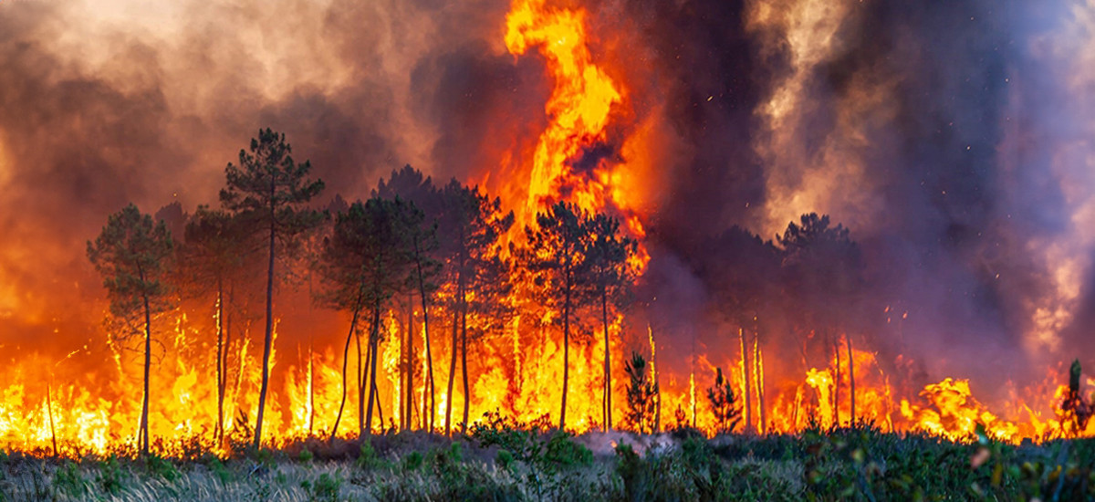 105 suç kaydı bulunan şüpheli orman yangını bölgesinde yakalandı