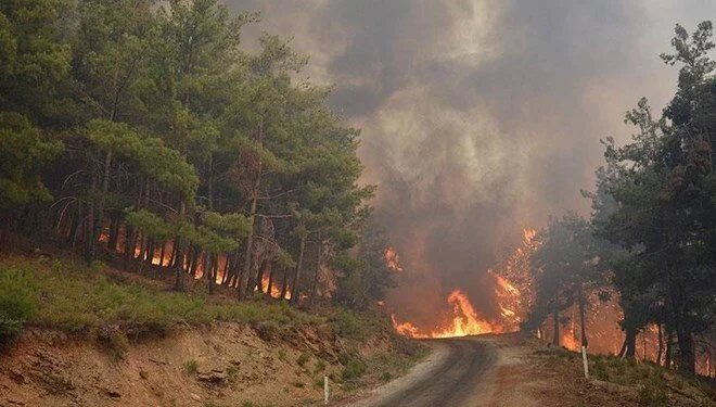 Bilecik ve İzmir afet bölgesi ilan edildi