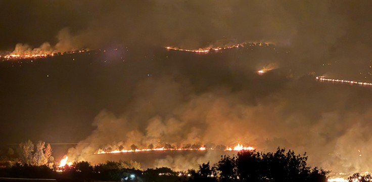 Diyarbakır’ın üç ilçesinde orman yangını...Valilik açıklama yaptı!