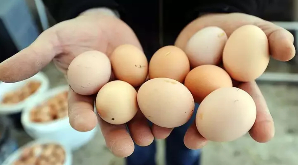 Yumurta haşlarken suyuna 1 dilim limon kabuğu ekleyin ve olacakları izleyin…