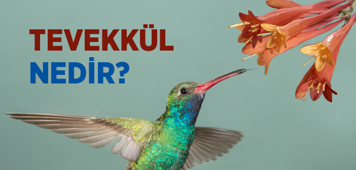 Tevekkül etmek ne demek? İslam dinine göre önemi ve anlamı