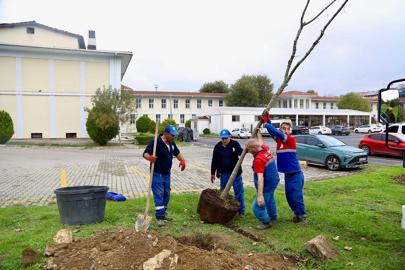 Kâğıthane’de yeşil dönüşüm süratle devam ediyor...