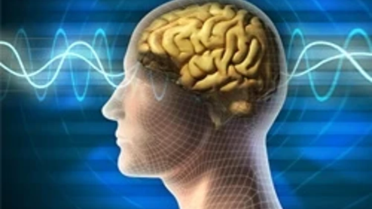 Beynin gizli yolculuğu çözüldü: En verimli yaş hangisi? 9, 32, 66...