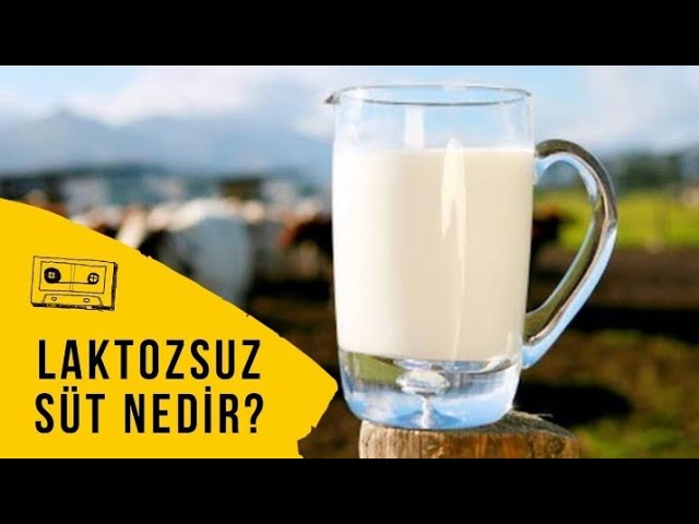 Laktozsuz süt nedir ve kilo aldırır mı?