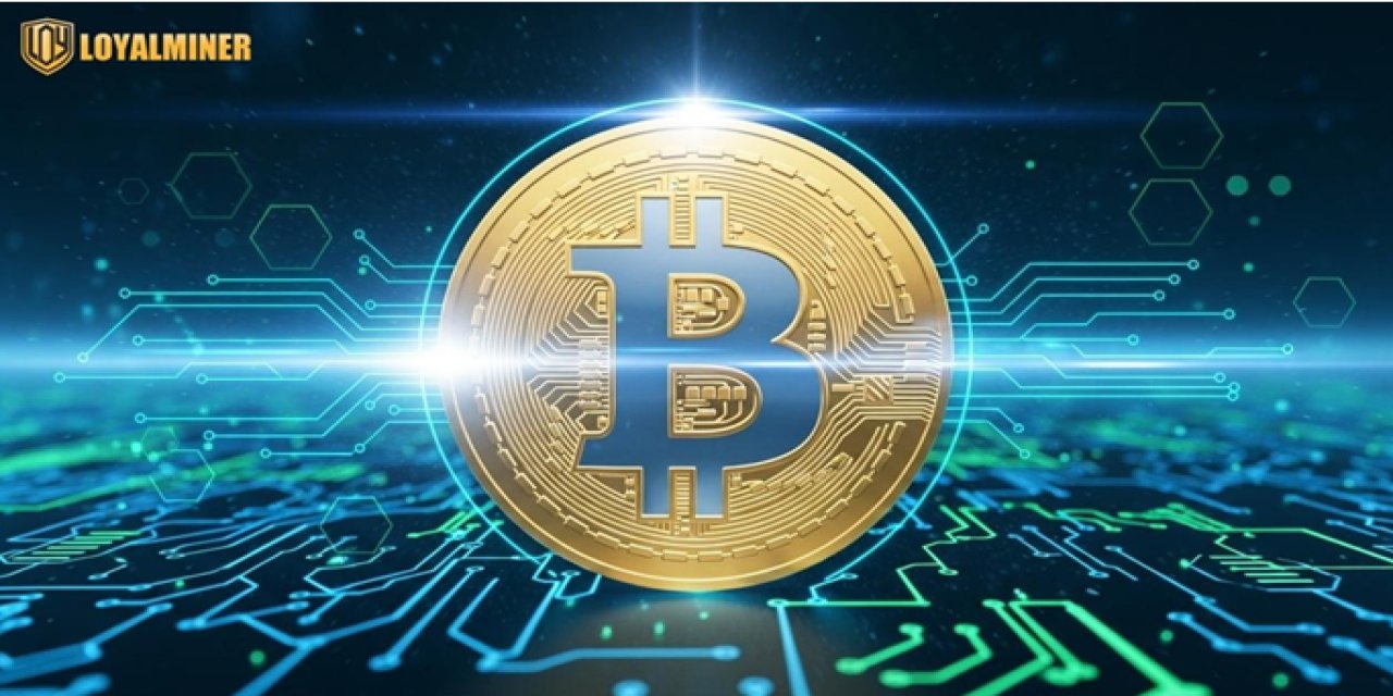 İyi yapılandırılmış bir bulut bilişim güç modeli: Loyal Miner Bitcoin madencilik çözümü