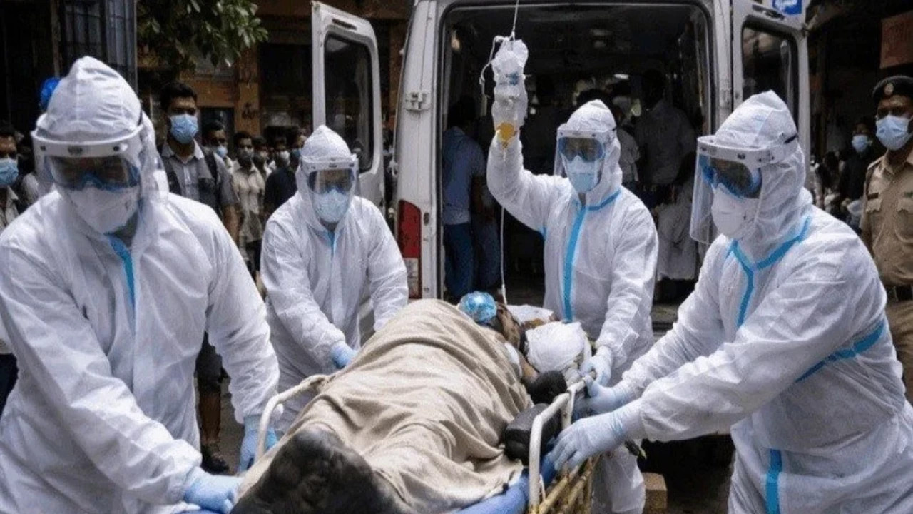 Dünya Sağlık Örgütü uyardı: Nipah Virüsü Koronavirüsten çok daha ölümcül!
