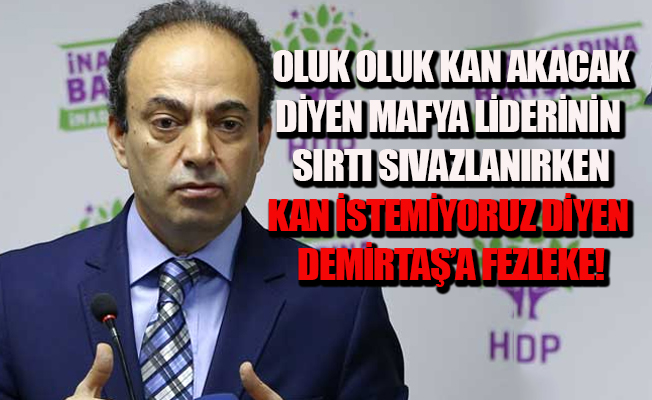 Baydemir: Vicdan ve Adalet hareketi başlatıyoruz