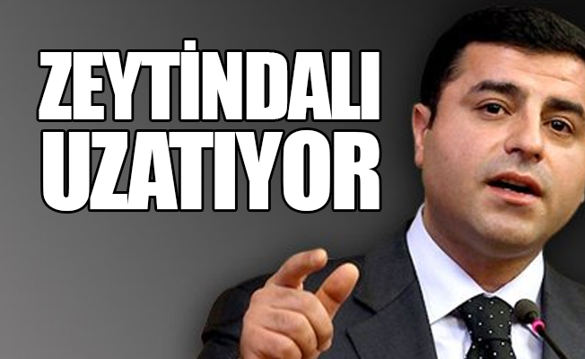 Demirtaş: CHP ve HDP’nin birbirlerine eleştirileri bu dönem ertelenebilir