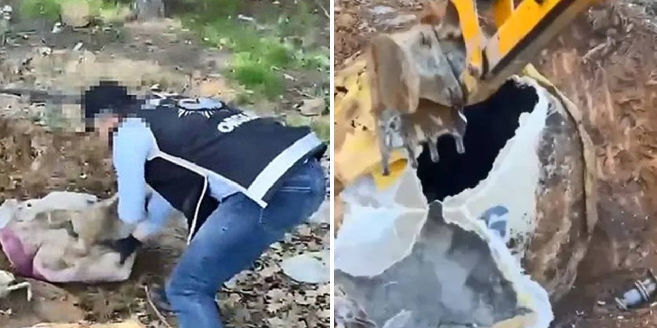 Gözaltına alındılar: İstanbul'da toprağa gömülü cephane!