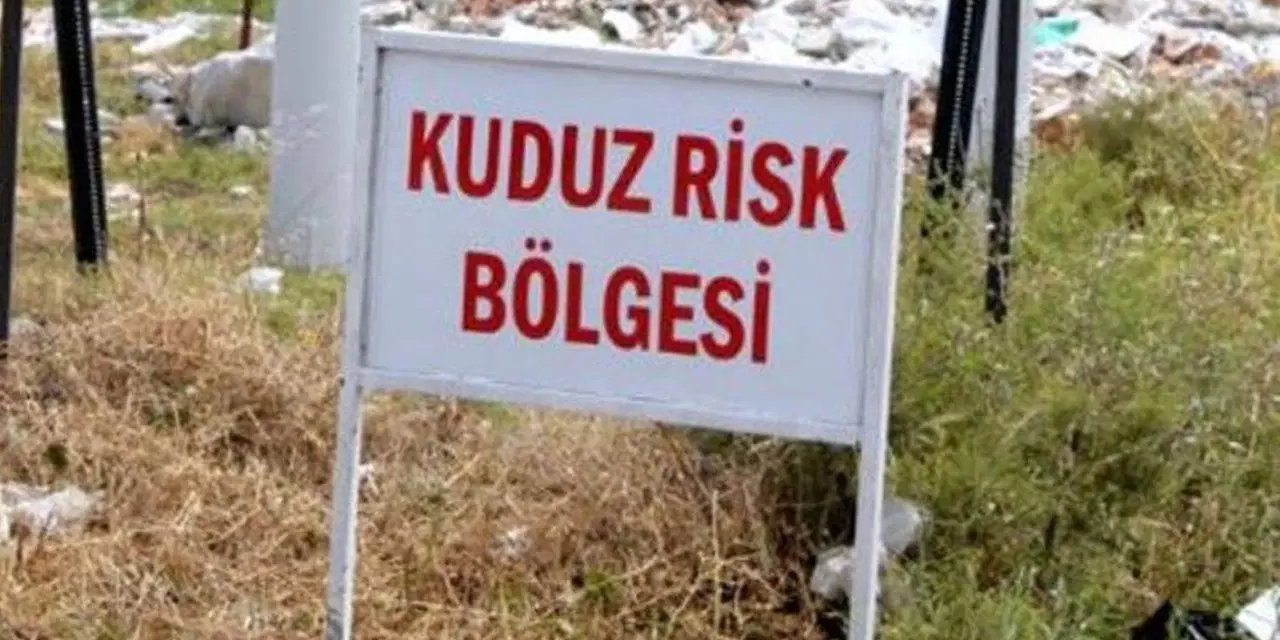 Kuduz vakası tespit edildi: O ilçe karantinaya alındı