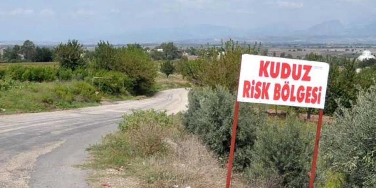 Kentte kuduz alarmı: Kedinin ısırdığı çocuk entübe edildi!