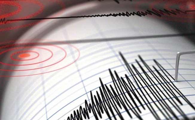 Muğla'da korkutan deprem