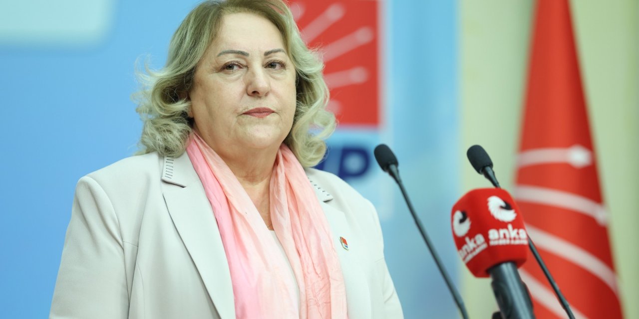 CHP Kadın Kolları Genel Başkanı Ayten Gülsever: Çocuklar çalışmak değil, yaşamak için büyümeli