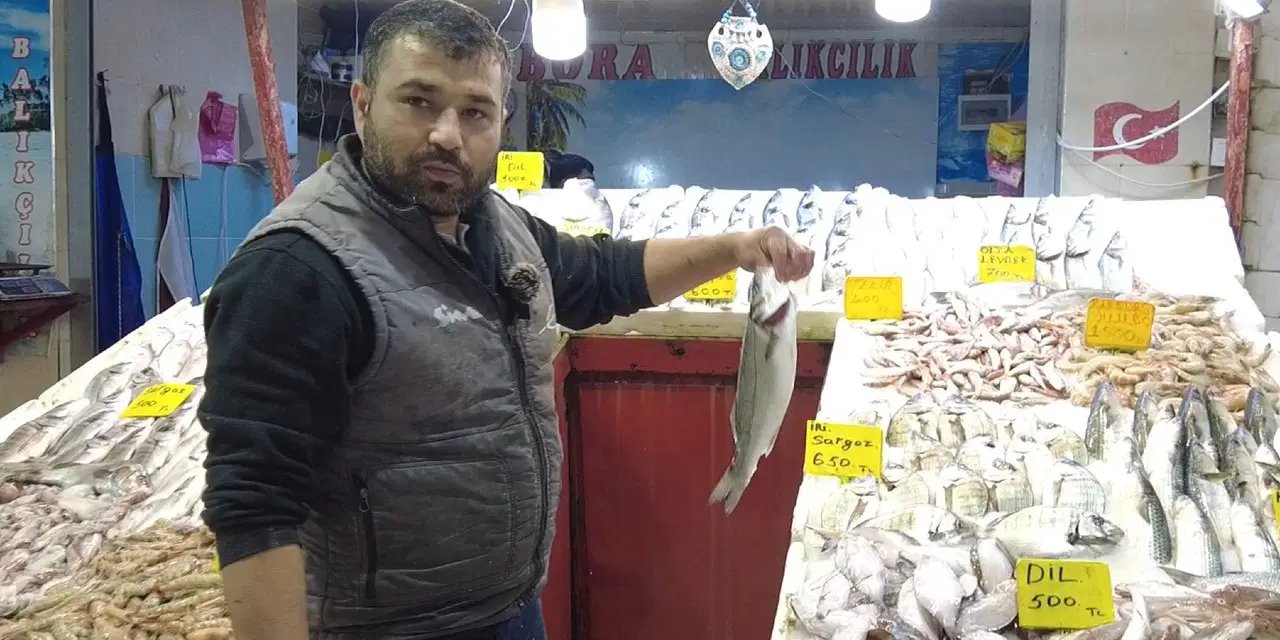 Marmara'nın 'efendisi' geri döndü! Tanesi 400 liradan tezgaha indi...