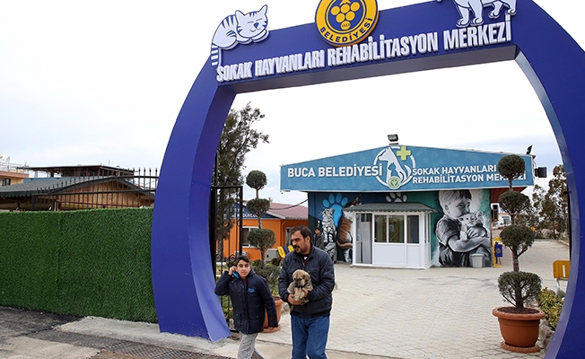 Buca'da 849 sokak hayvanı yuvasına kavuştu