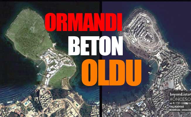 AKP'den önce ormandı, şimdi beton oldu...