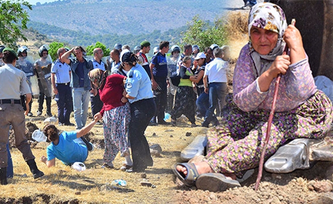 Ağaçlar sökülmesin diye 10 saat direndiler!