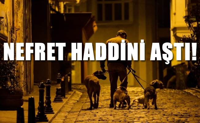 'Gece gece köpek mi gezdirilir' diye ateş etti, iki kardeşten biri öldü