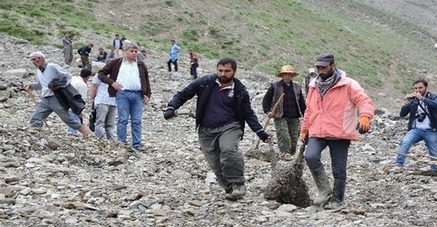Hakkari'de 800 küçükbaş hayvan telef oldu!