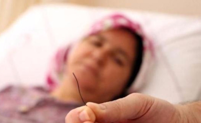 Petek bal yedi,midesinden bakın ne çıktı