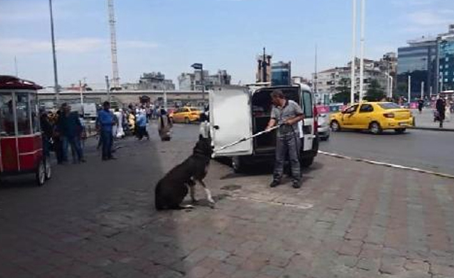 Taksim'de gündem bu köpek!