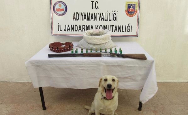 Adıyaman'da uyuşturucu operasyonu, 5 bin kök hint keneviri ele geçirildi!
