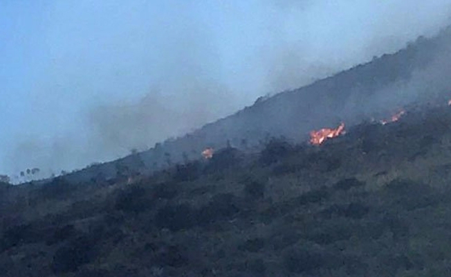 Bodrum’da korkutan yangın!