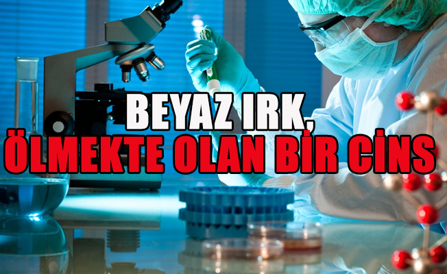 'Ülkedeki kadınlar Müslüman erkekler tarafından döllenmeli'