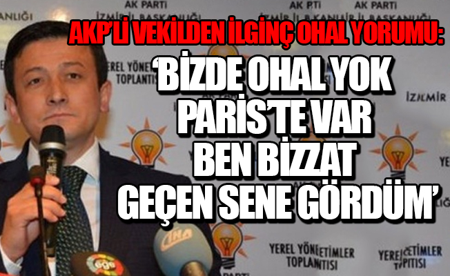AKP'li Dağ:  OHAL'i Güneydoğu'da görmüyorsun, Paris'te ben bizzat gördüm