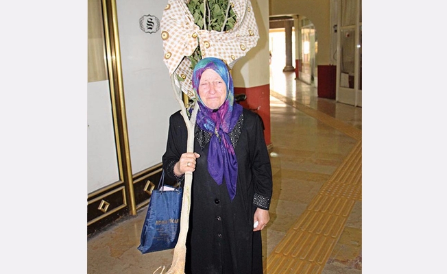 Belediyenin kestiği ağacın hesabını soran kadın konuştu