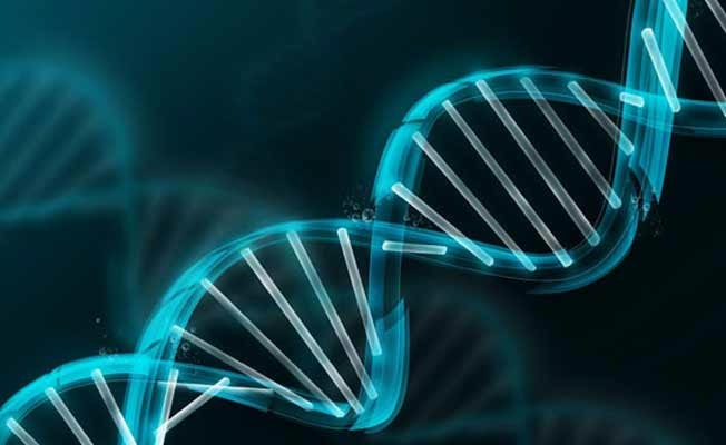 İnsan DNA’sı uzatılırsa Pluton'a kadar erişebilir!