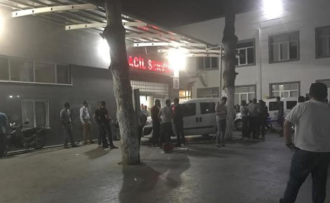 Aydın'da kardeş kavgası: 1 ölü