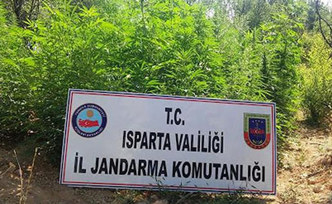 Isparta’da köy evine uyuşturucu baskını