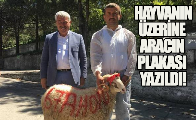 Yeni makam aracı için kurban kestirdi!