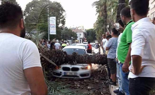 Sosyal medyadan 'devrilecek' dedi, 3 saat sonra devrildi! Bir saniye farkla kurtuldu!