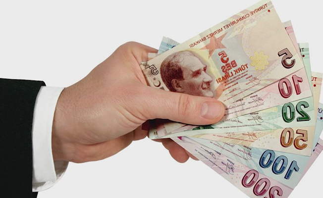 Zam şampiyonu sivri biber