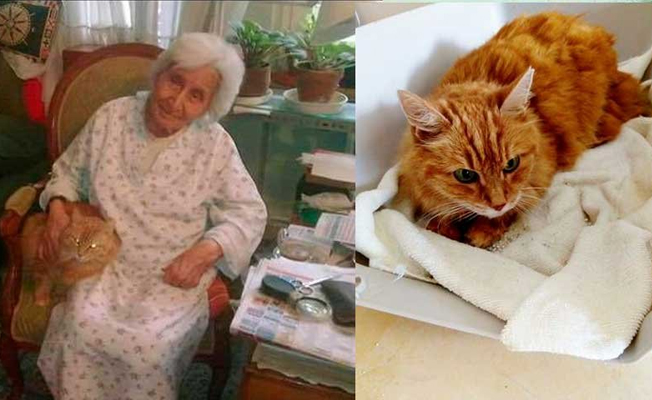 Semre Teyze’nin tek varlığı olan kedisiyle hikayesi